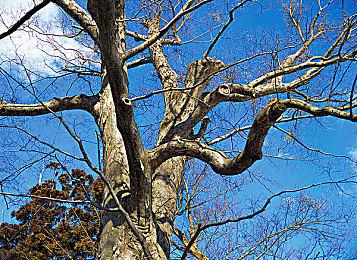 《腐烂国度2》更新上线 三个地图的视觉效果重做