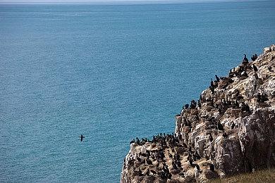《超级炸弹人R OL》世界下载突破300万 赠送500炸弹币